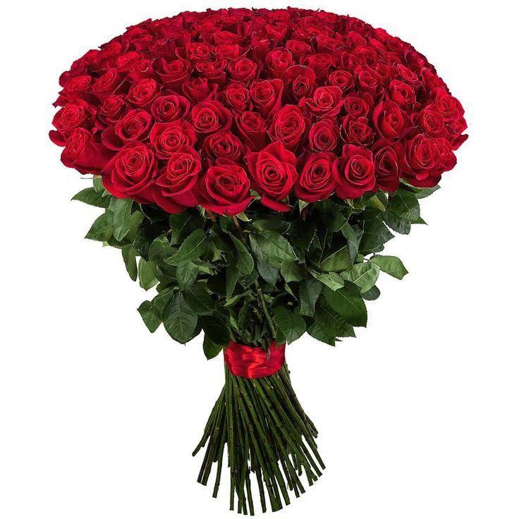 Elegant Blossom Symphony in Vase